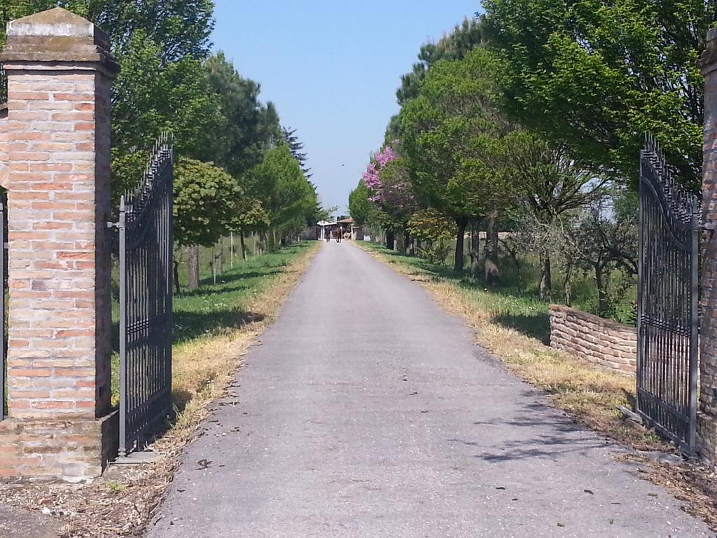 Agriturismo L'Angelina Villa Alfonsine Exterior foto
